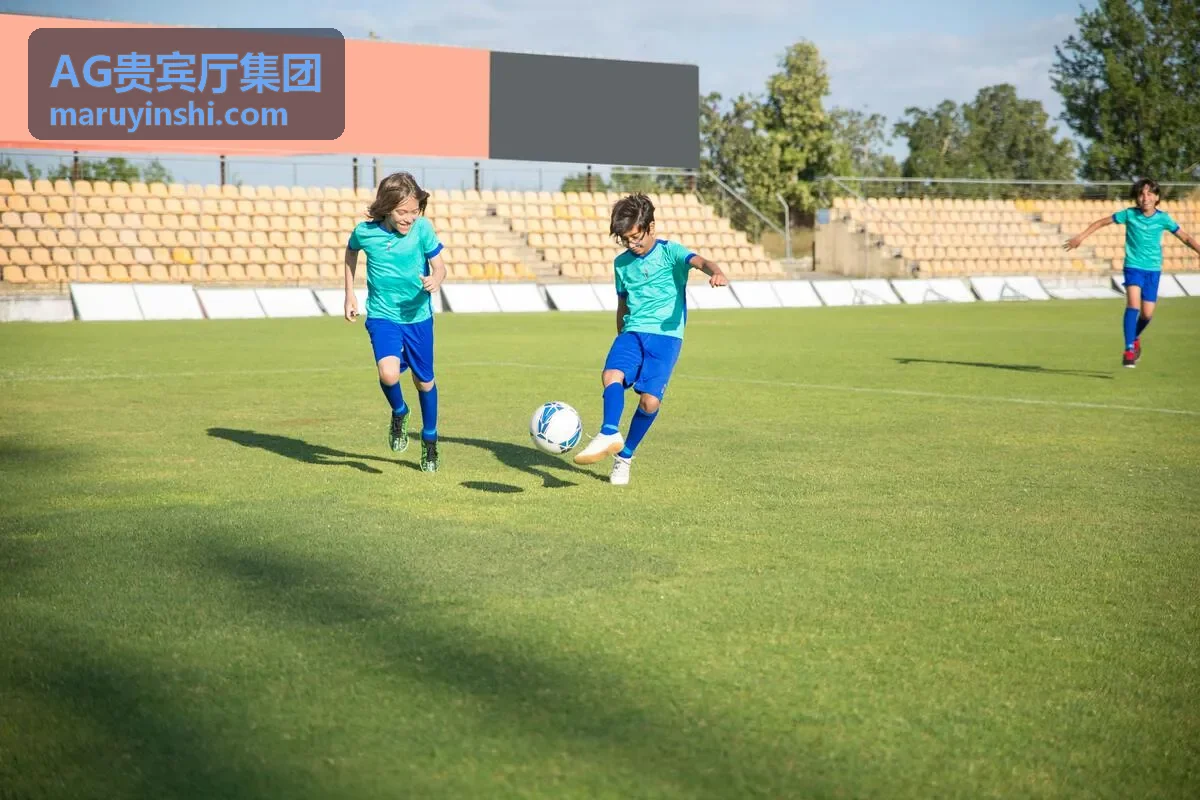 AG贵宾厅尊享定制方案